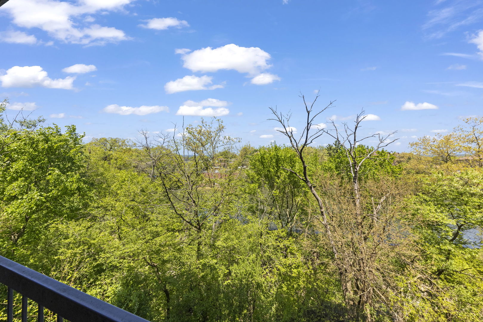 6010 Lake Bluff Drive #301, Tinley Park, IL 60477
