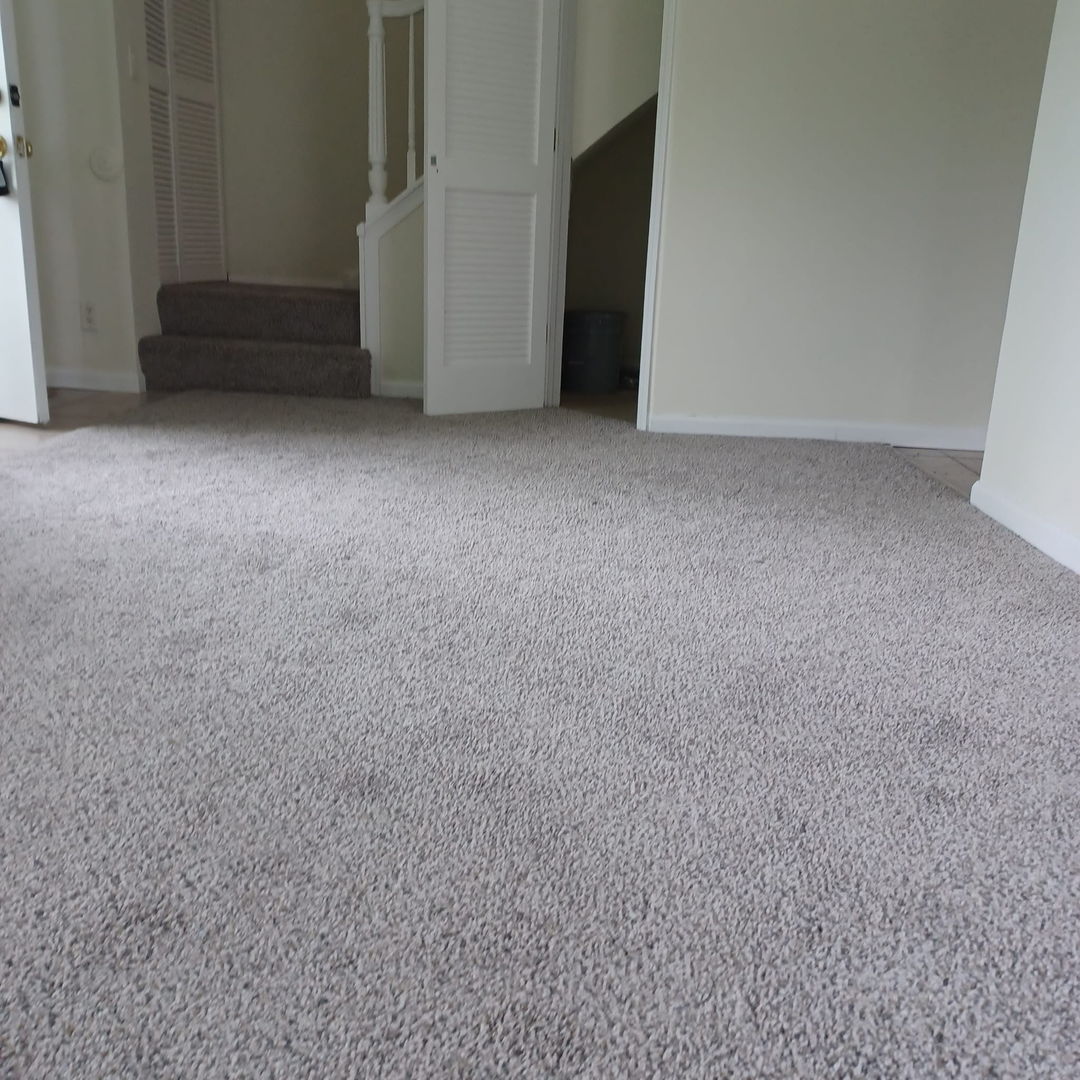 9 Fernwood Drive #N, Bolingbrook, IL 60440