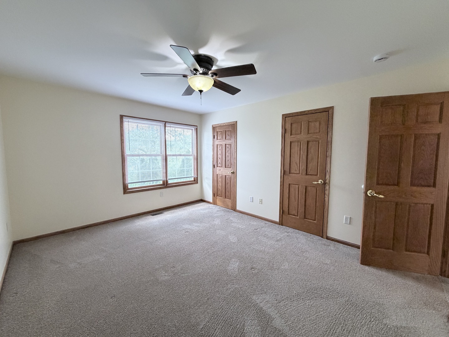 1565 E Patmore Street, Diamond, IL 60416