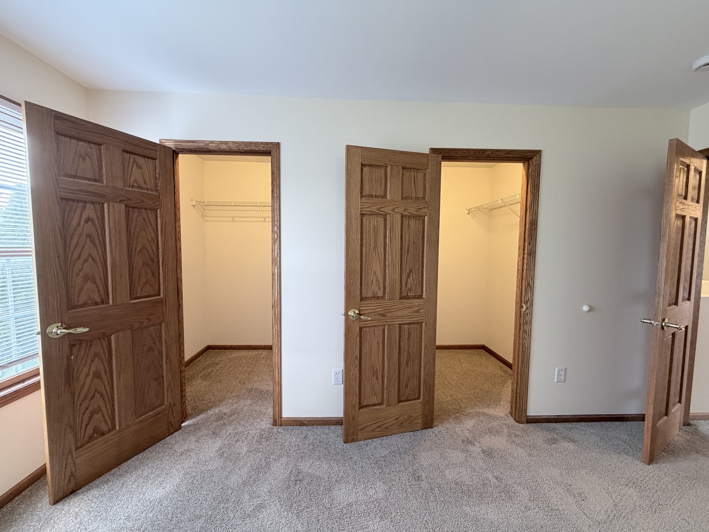 1565 E Patmore Street, Diamond, IL 60416