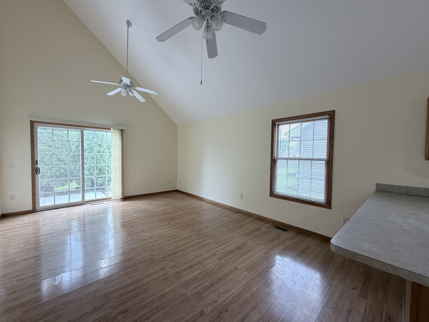 1565 E Patmore Street, Diamond, IL 60416