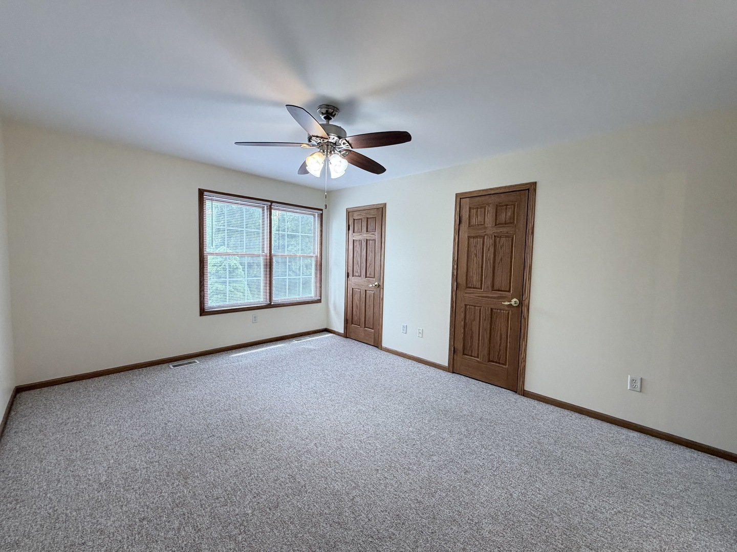 1565 E Patmore Street, Diamond, IL 60416