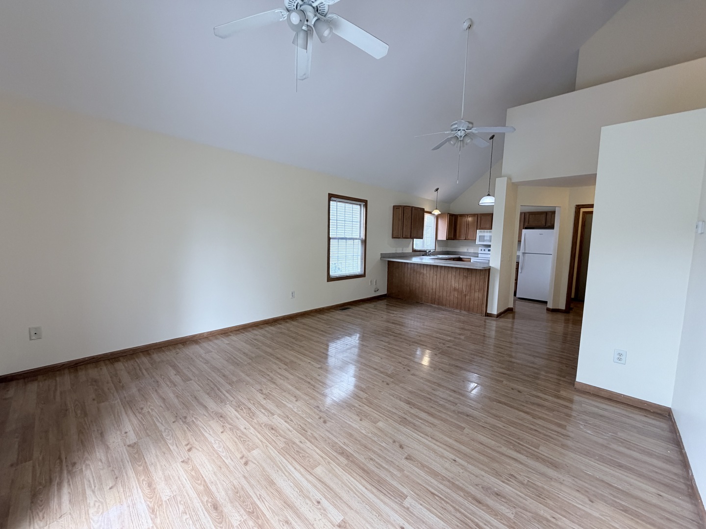 1565 E Patmore Street, Diamond, IL 60416