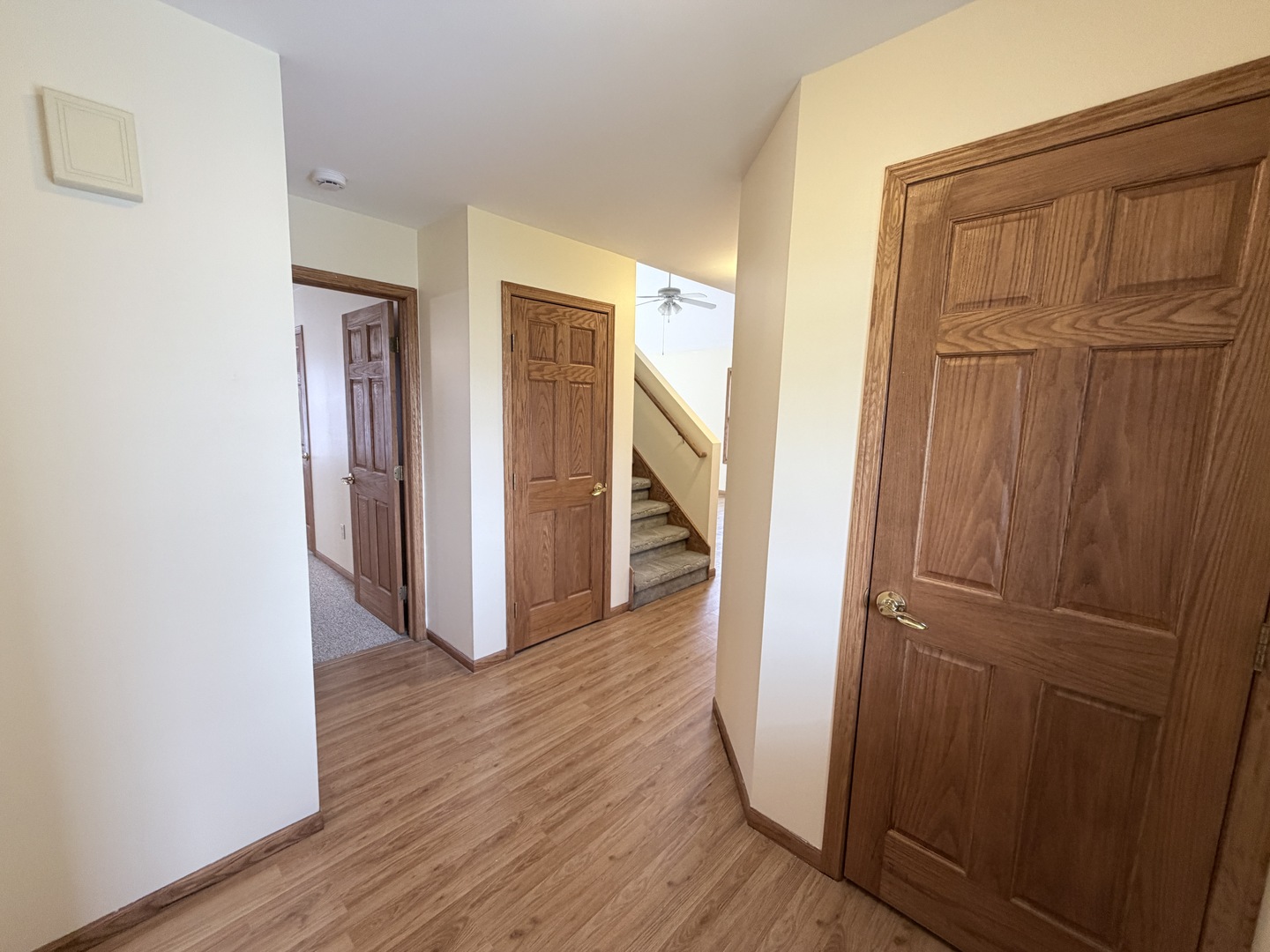 1565 E Patmore Street, Diamond, IL 60416