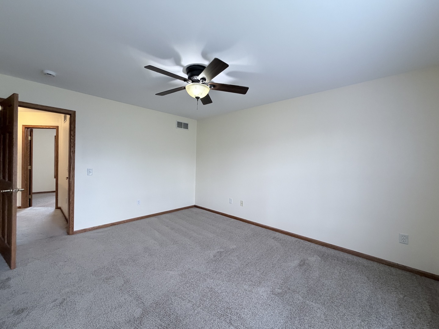 1565 E Patmore Street, Diamond, IL 60416