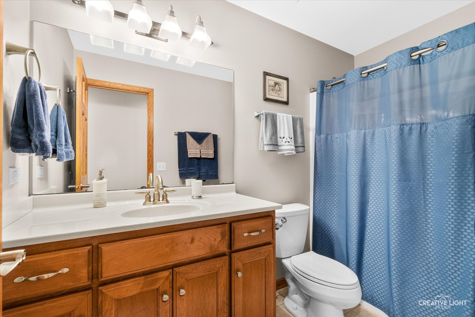26634 W Dorothy Court, Channahon, IL 60410