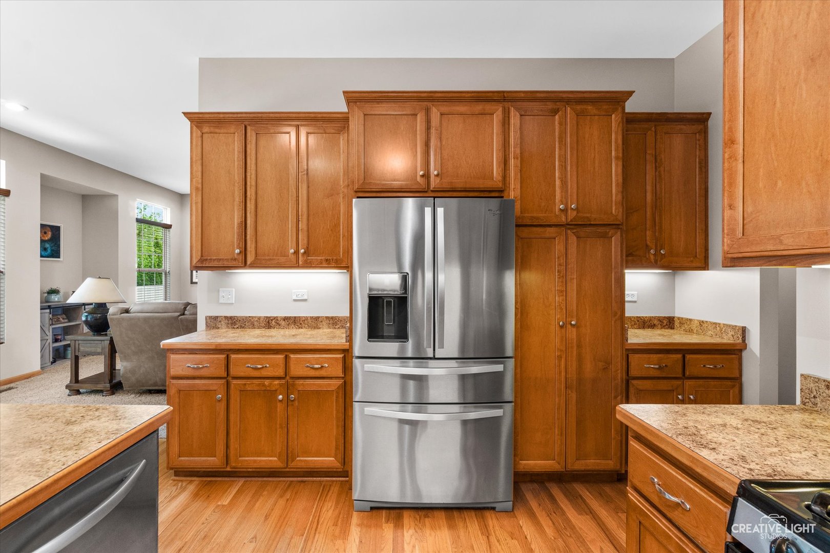 26634 W Dorothy Court, Channahon, IL 60410
