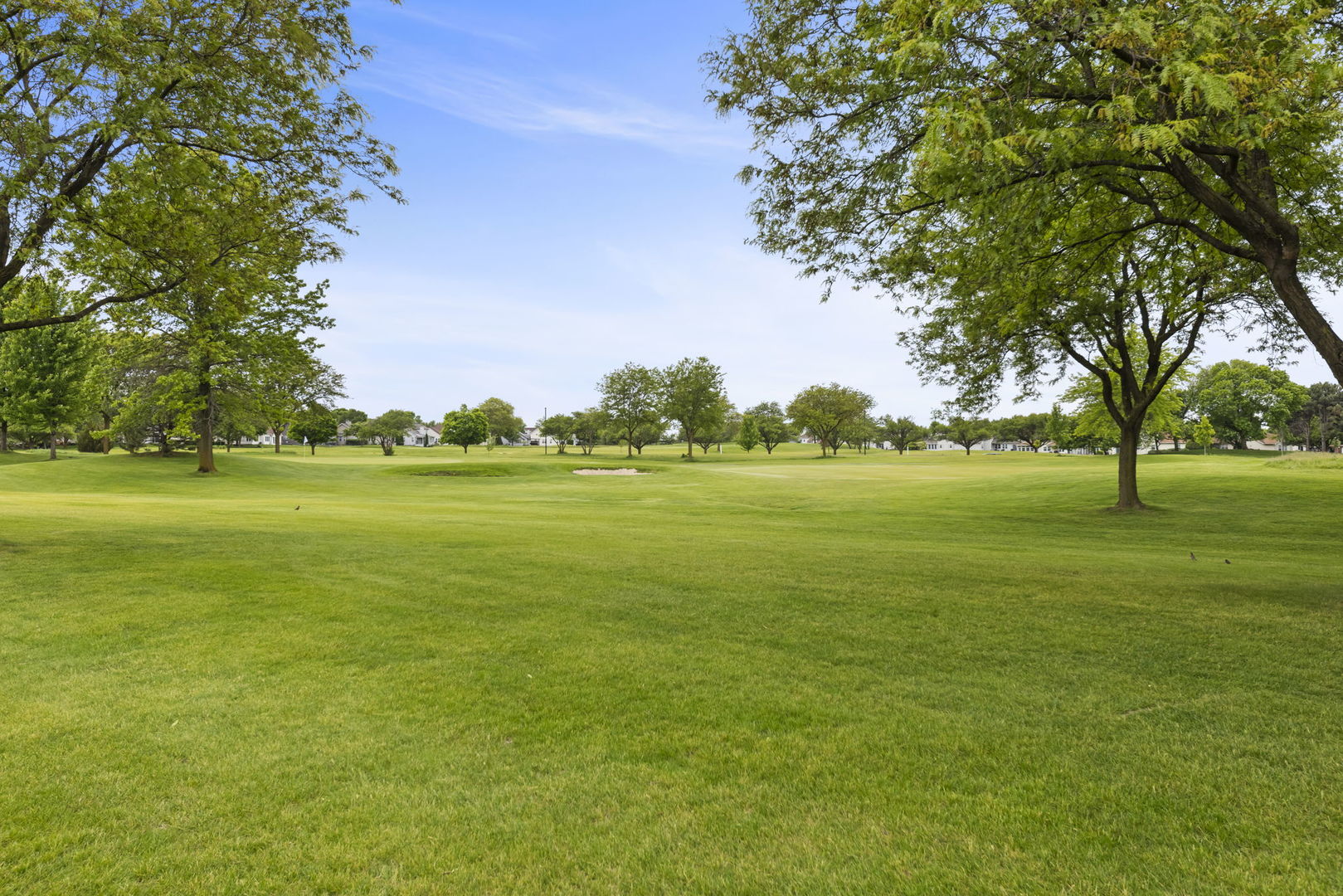 21028 W Snowberry Lane, Plainfield, IL 60544