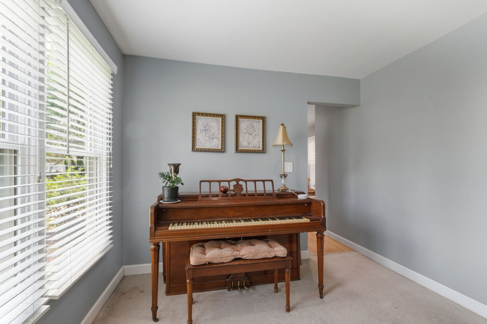 458 Nantucket Road, Naperville, IL 60565