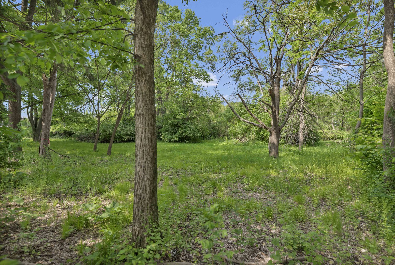 2623 Essington Road, Joliet, IL 60435