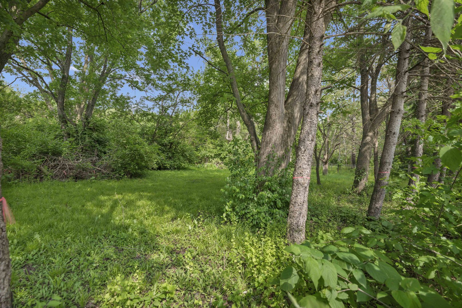 2623 Essington Road, Joliet, IL 60435