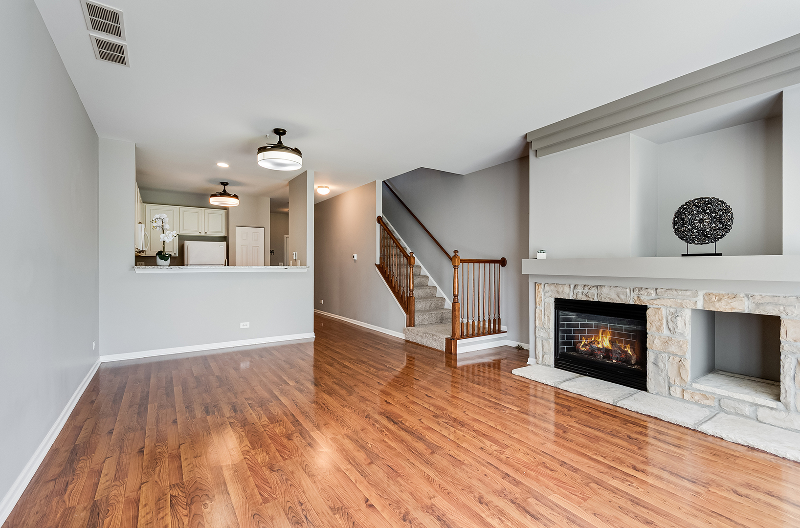 913 Genesee Drive, Naperville, IL 60563