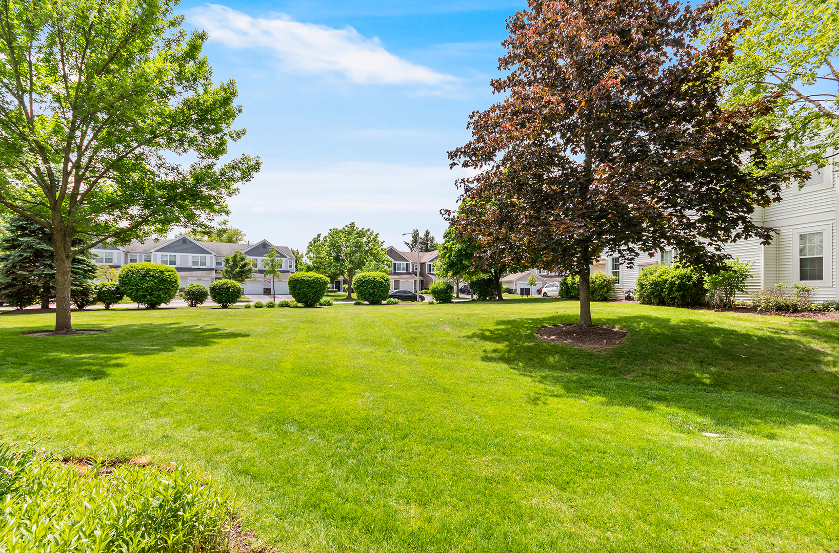 913 Genesee Drive, Naperville, IL 60563