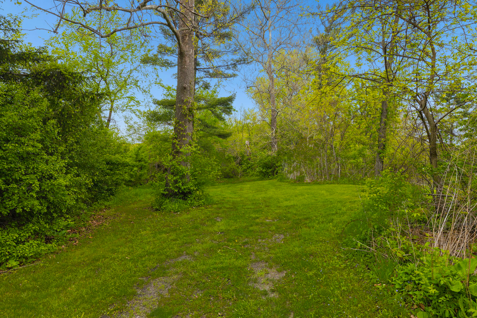 931 231st Street, Steger, IL 60475