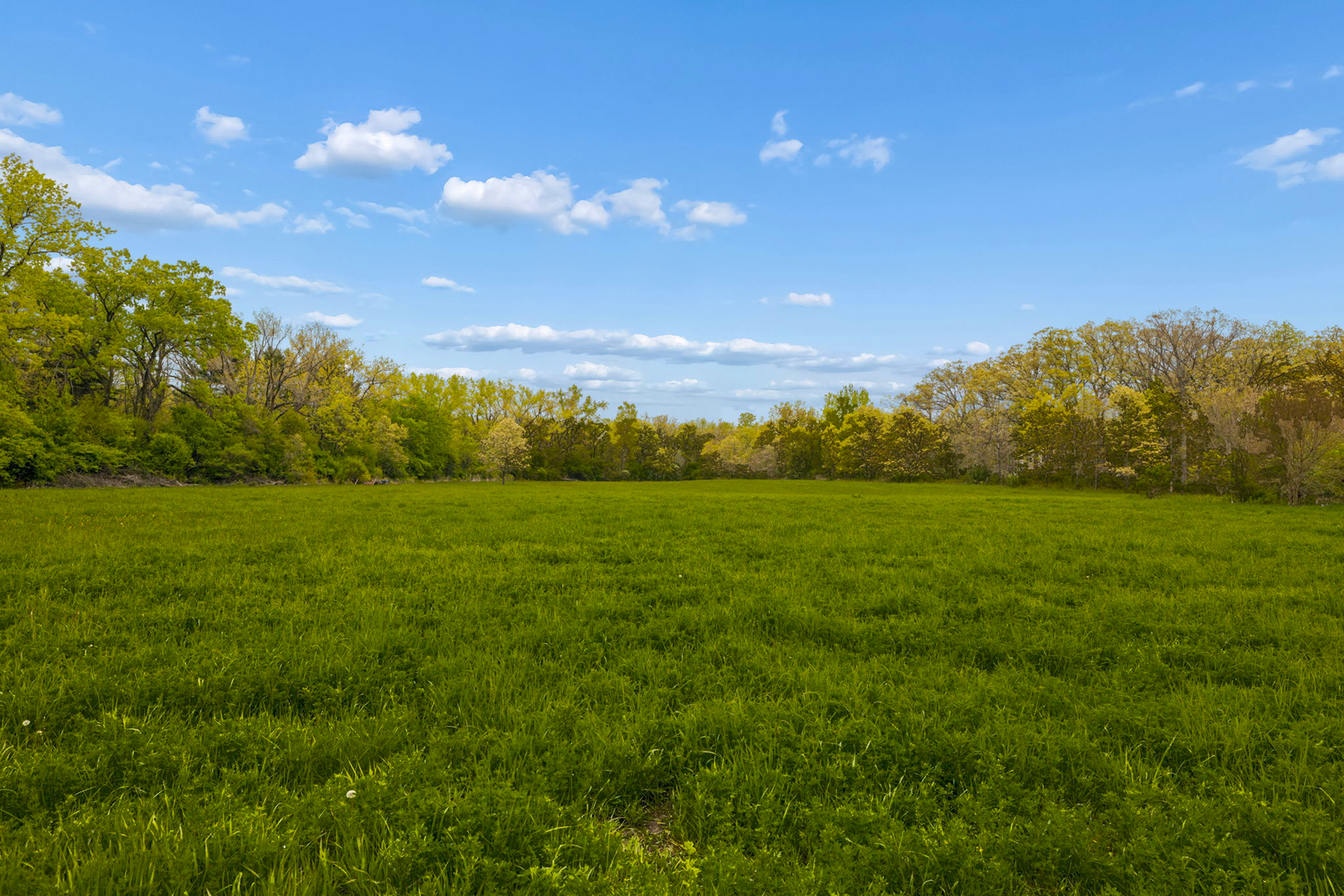 931 231st Street, Steger, IL 60475