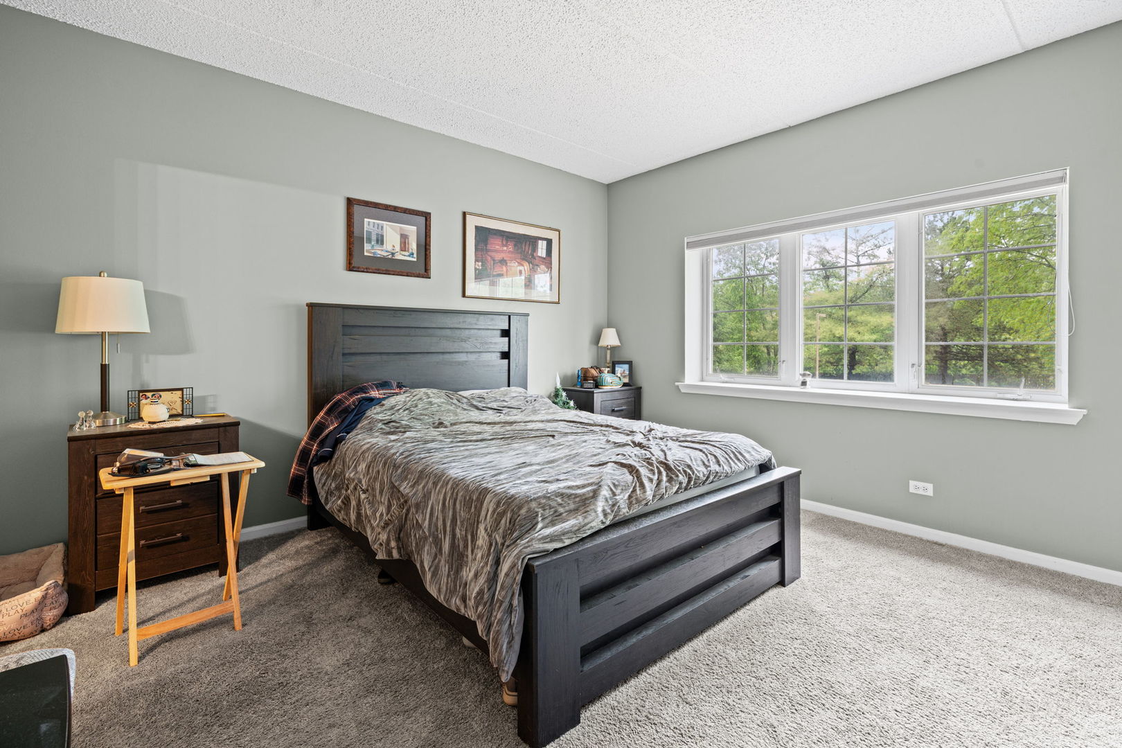 59 S Hale Street #103, Palatine, IL 60067