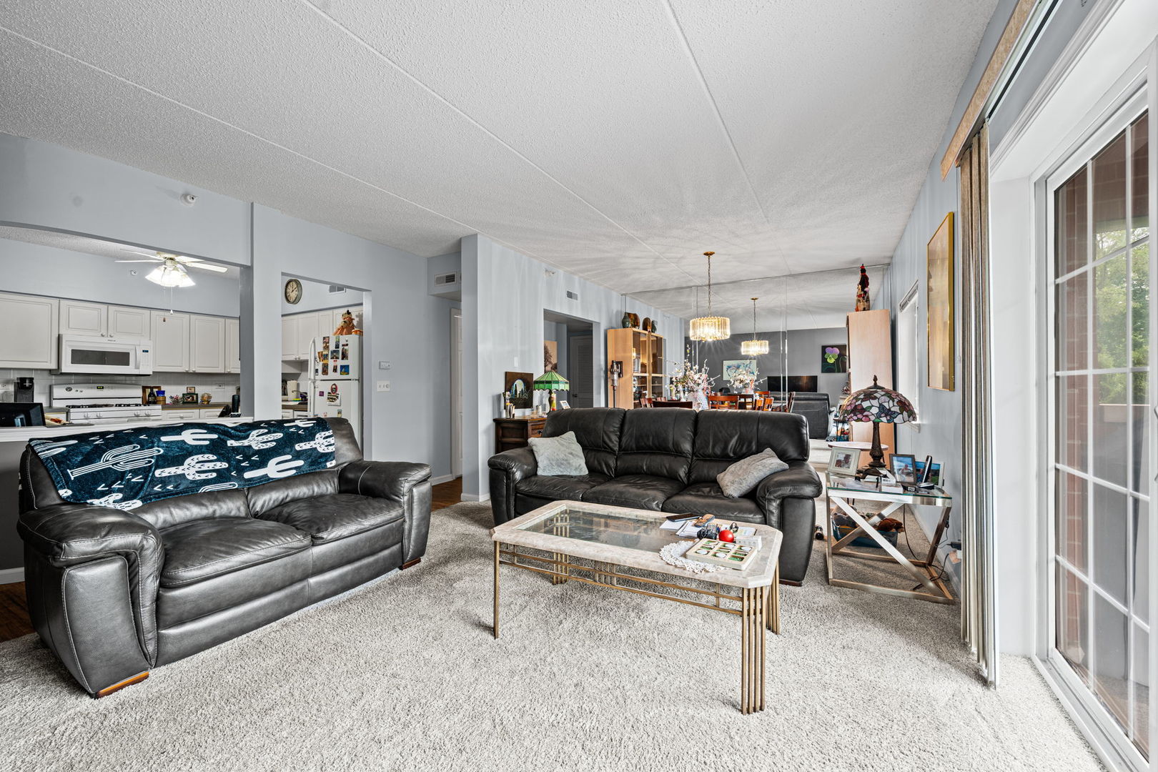 59 S Hale Street #103, Palatine, IL 60067