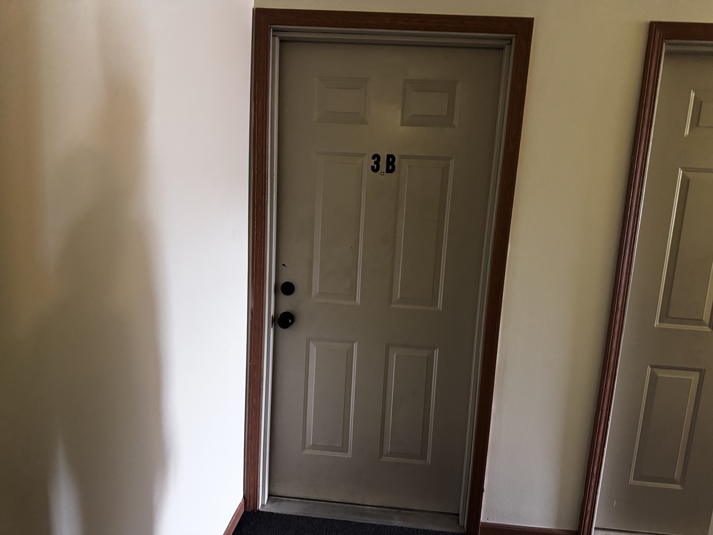 330 Leah Lane #3B, Woodstock, IL 60098