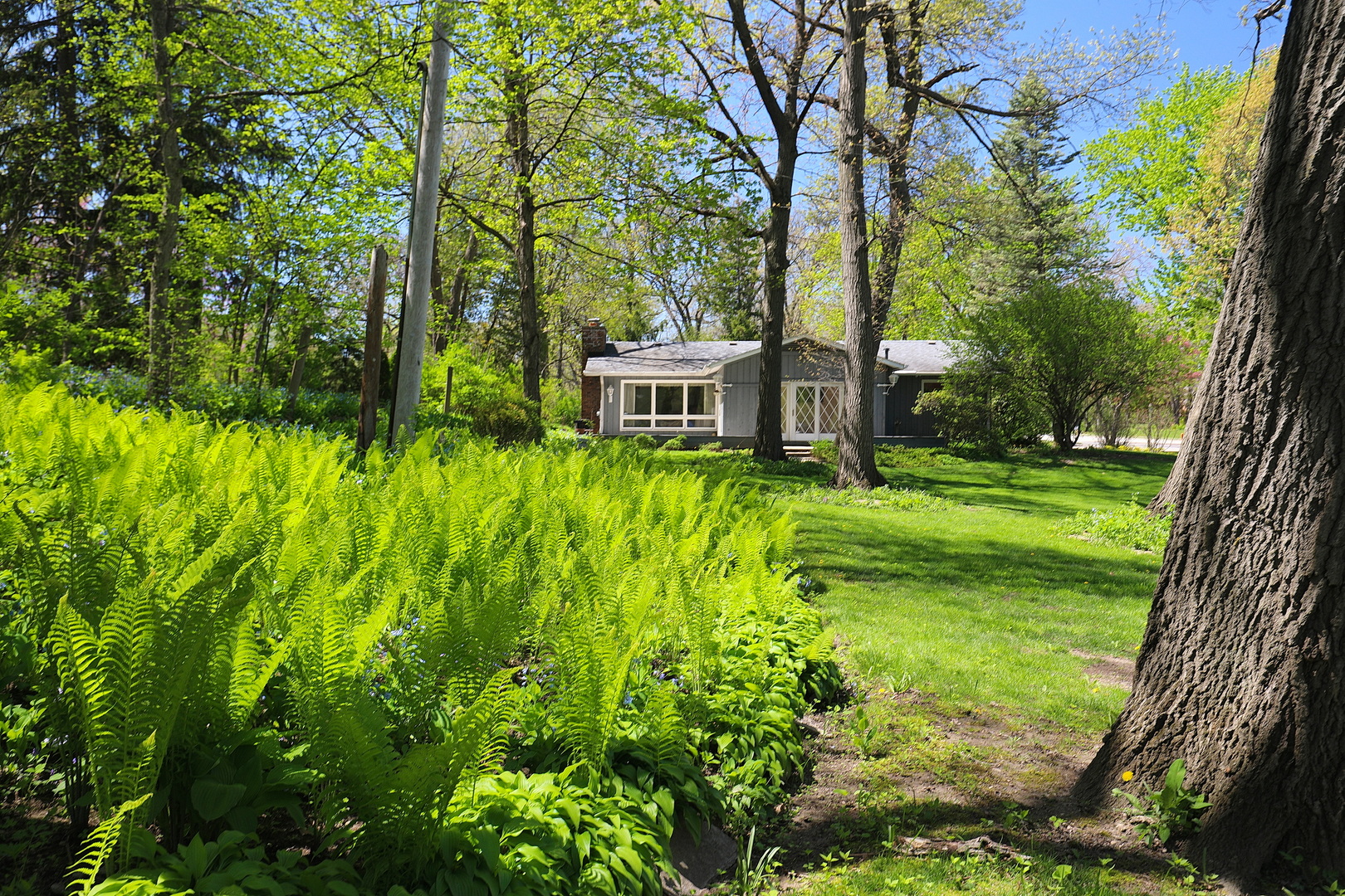 1 Sunset Avenue, West Chicago, IL 60185