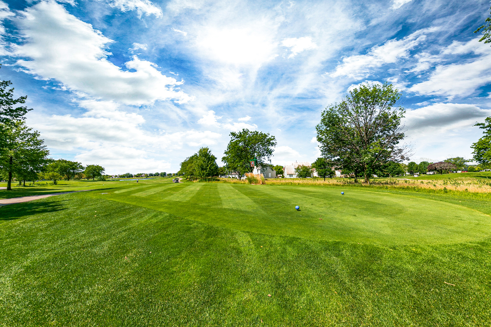 21302 W Monterrey Drive, Plainfield, IL 60544