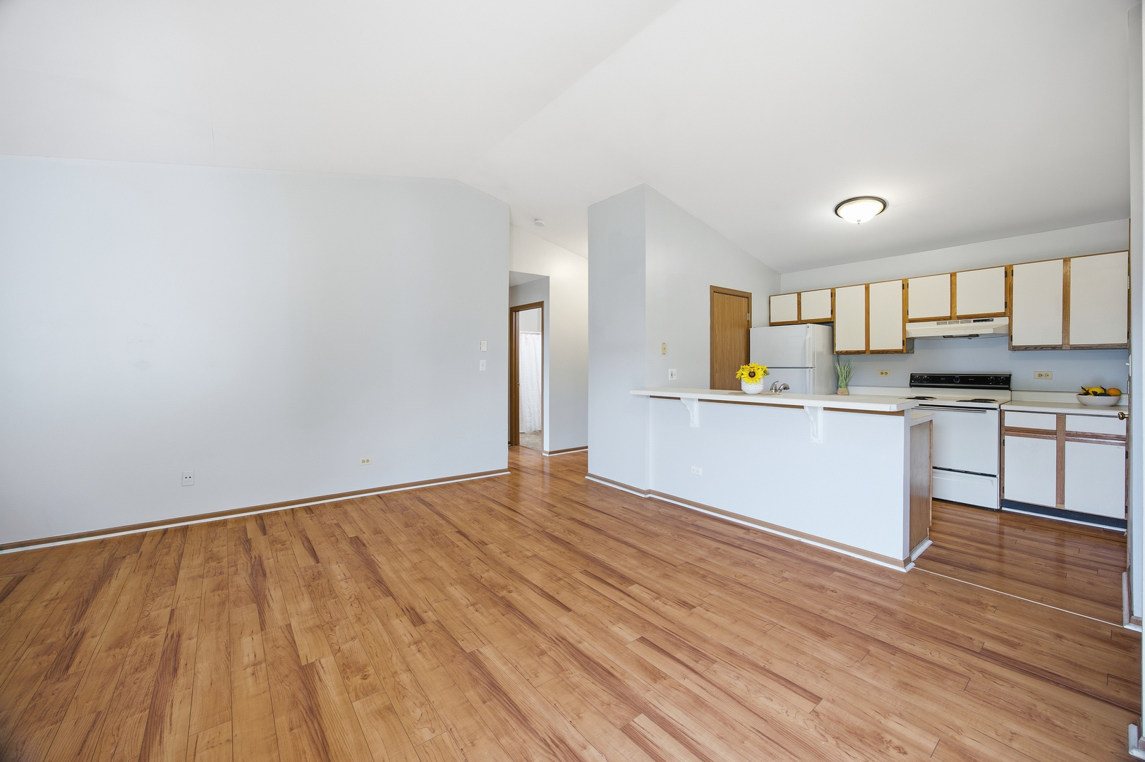 4404 W Shamrock Lane #3B, McHenry, IL 60050