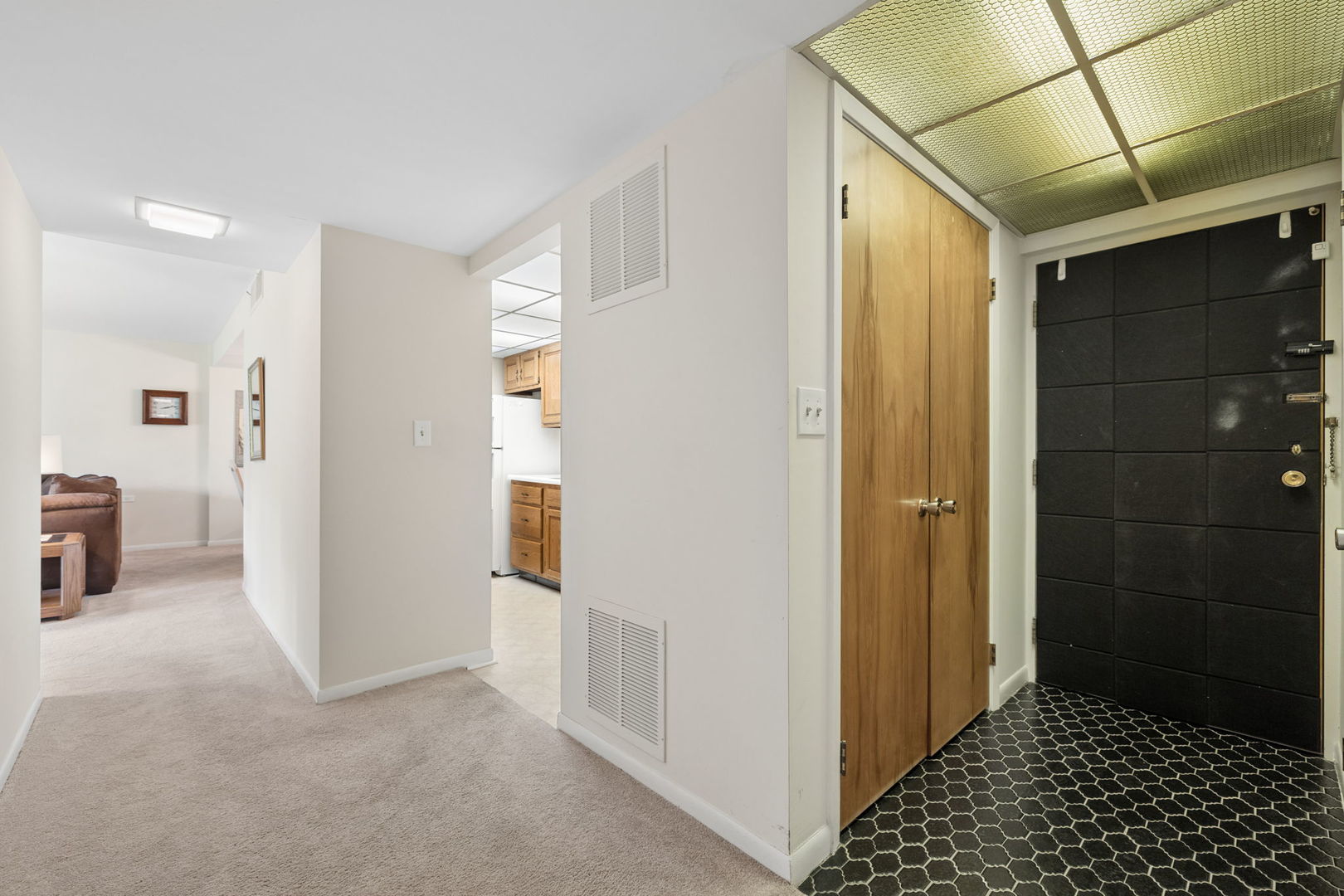5300 Walnut Avenue #2B, Downers Grove, IL 60515