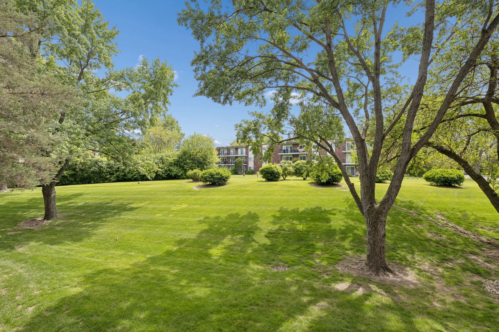 5300 Walnut Avenue #2B, Downers Grove, IL 60515