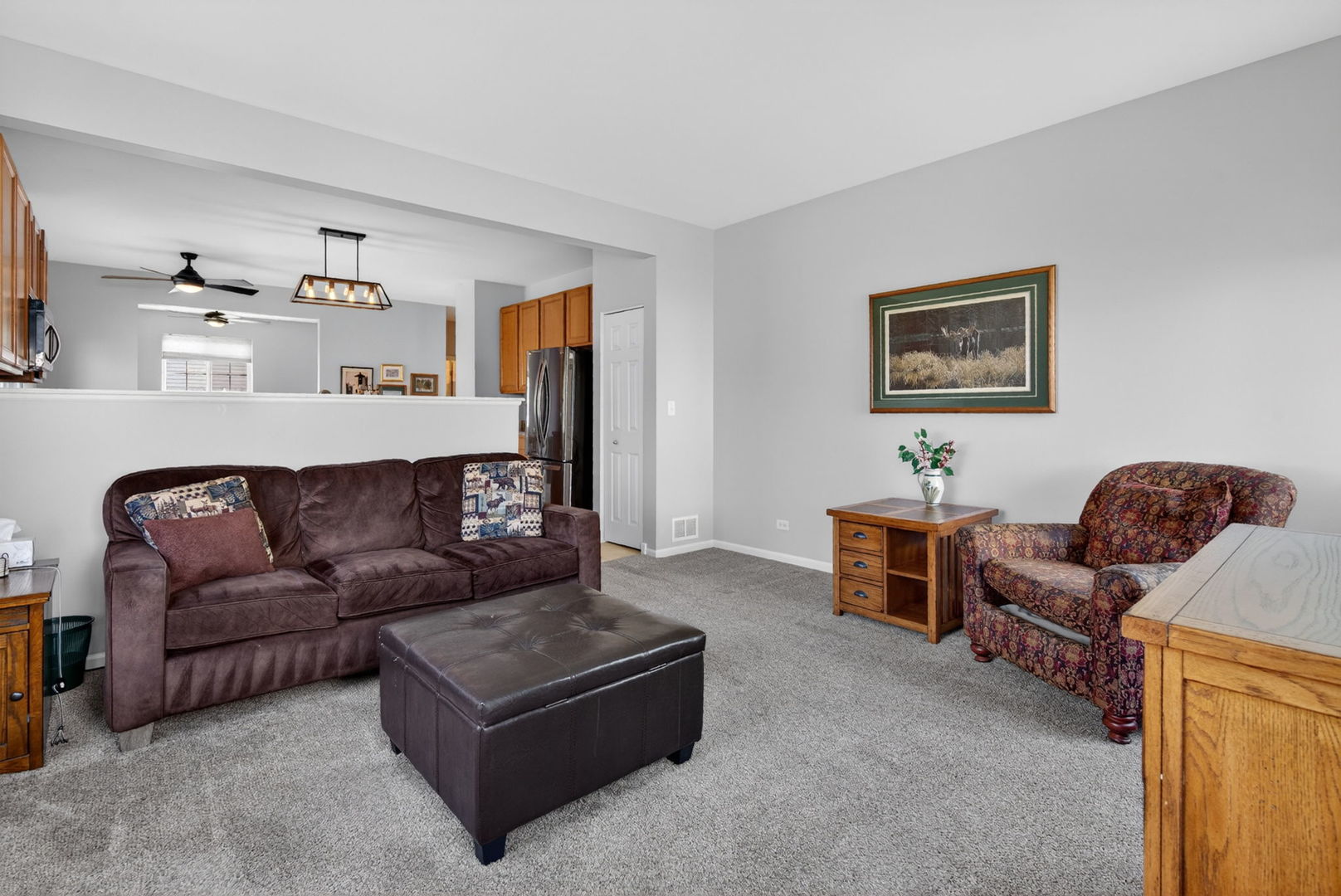 704 Camden Drive, Minooka, IL 60447