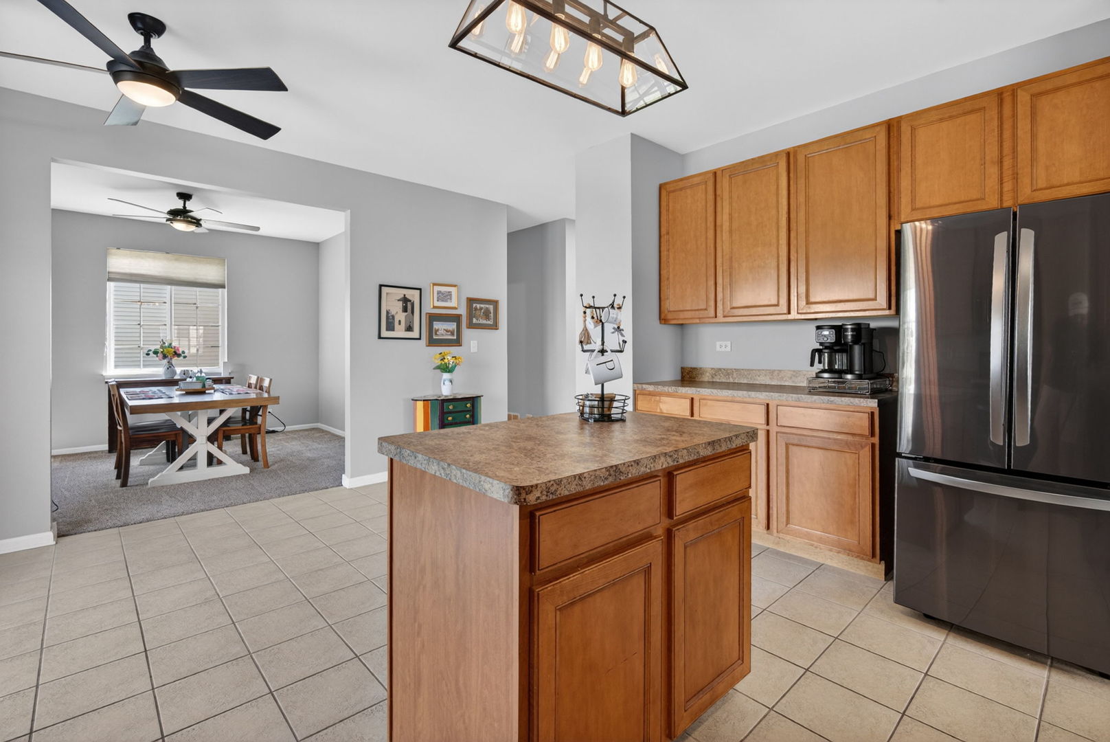 704 Camden Drive, Minooka, IL 60447