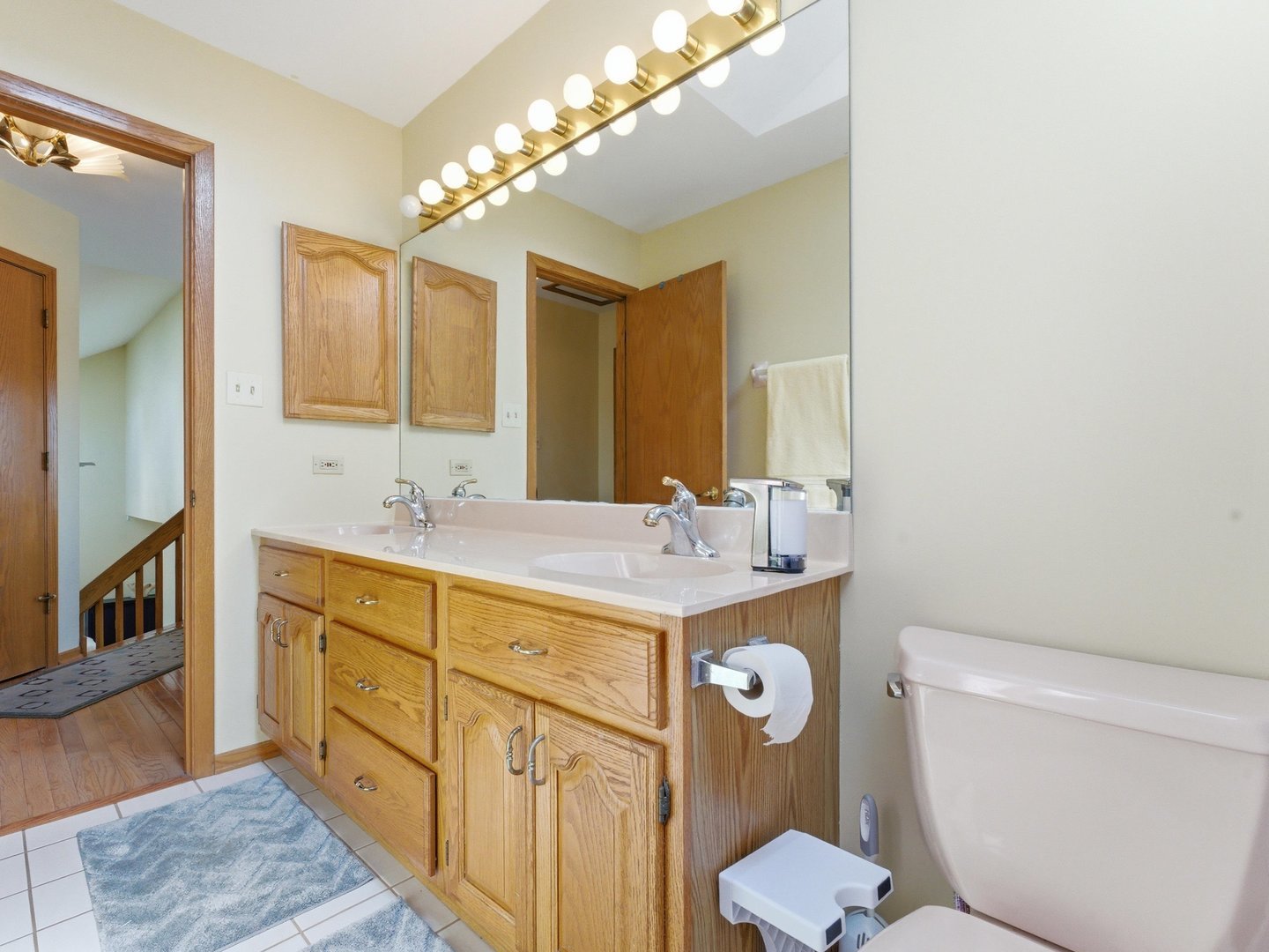 4533 Morning Glory Drive, Matteson, IL 60443