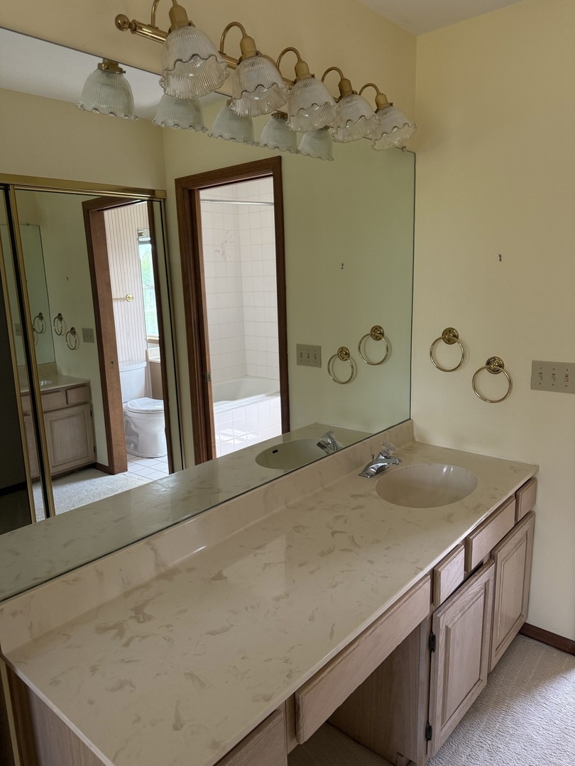 223 Williamsburg Court, Montgomery, IL 60538