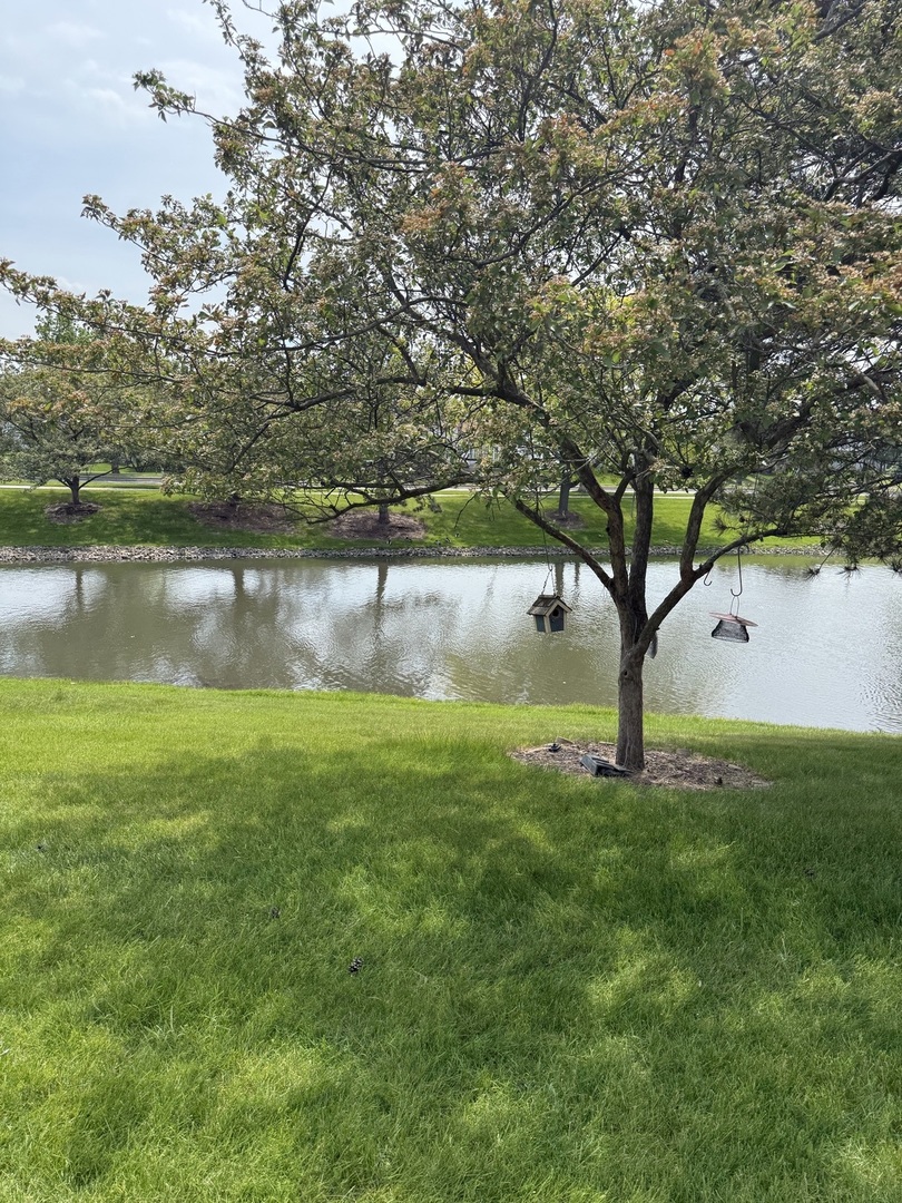 223 Williamsburg Court, Montgomery, IL 60538