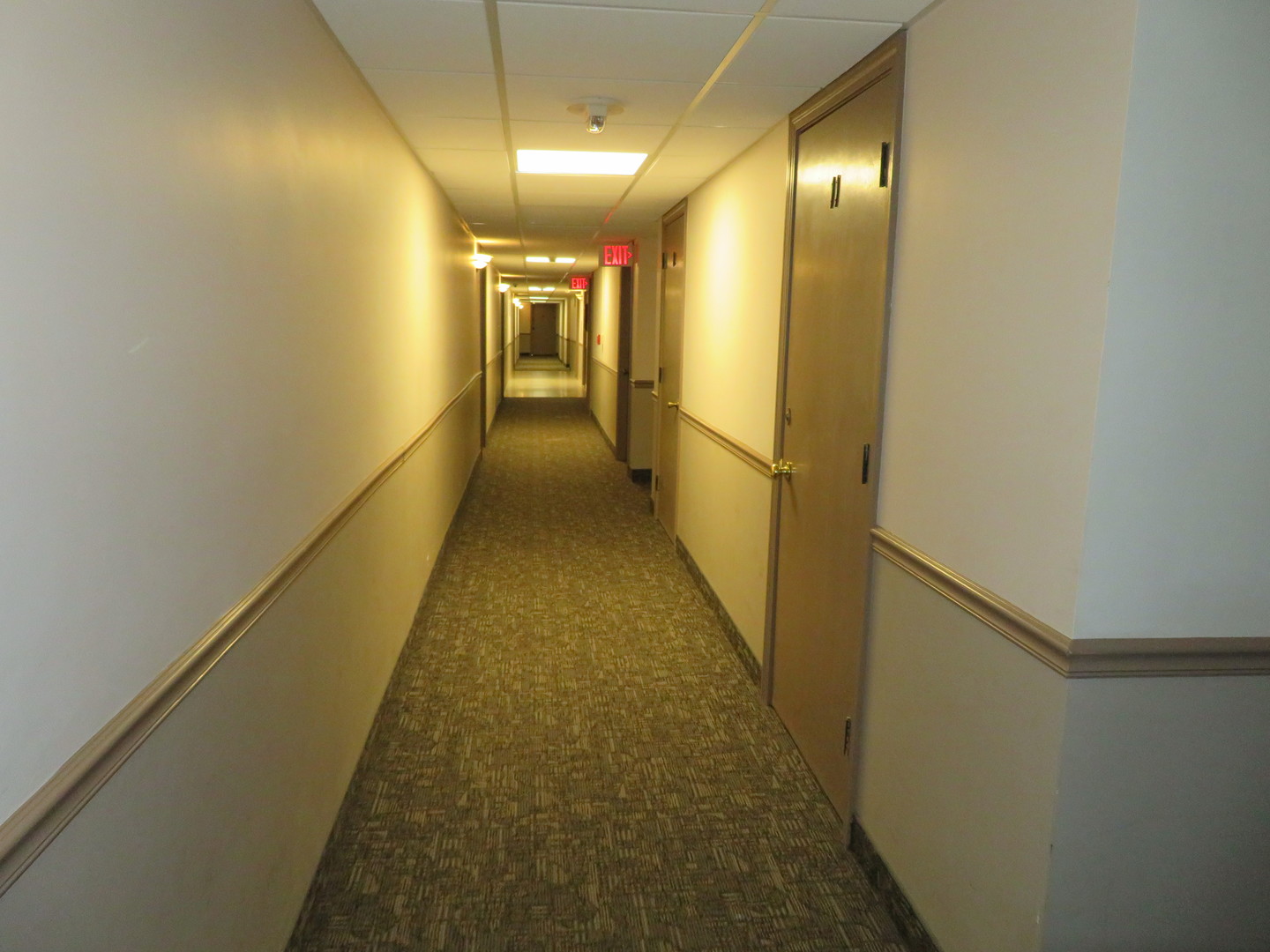 7234 W North Avenue #701, Elmwood Park, IL 60707