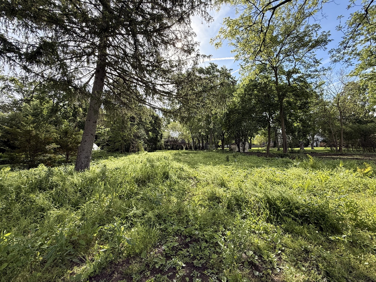 225 Lorraine Street, Glen Ellyn, IL 60137