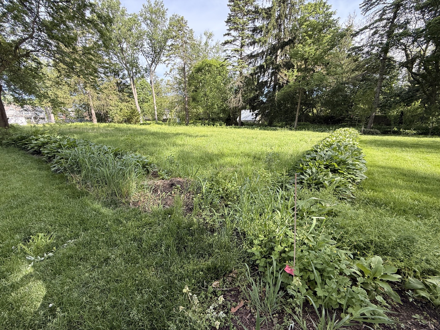 225 Lorraine Street, Glen Ellyn, IL 60137
