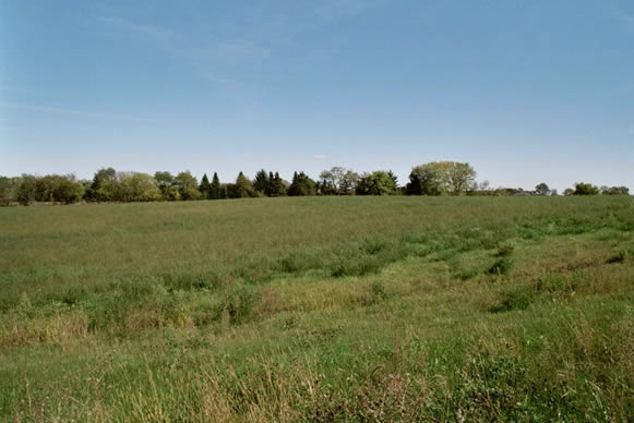 2010 Maritime Lane, Woodstock, IL 60098