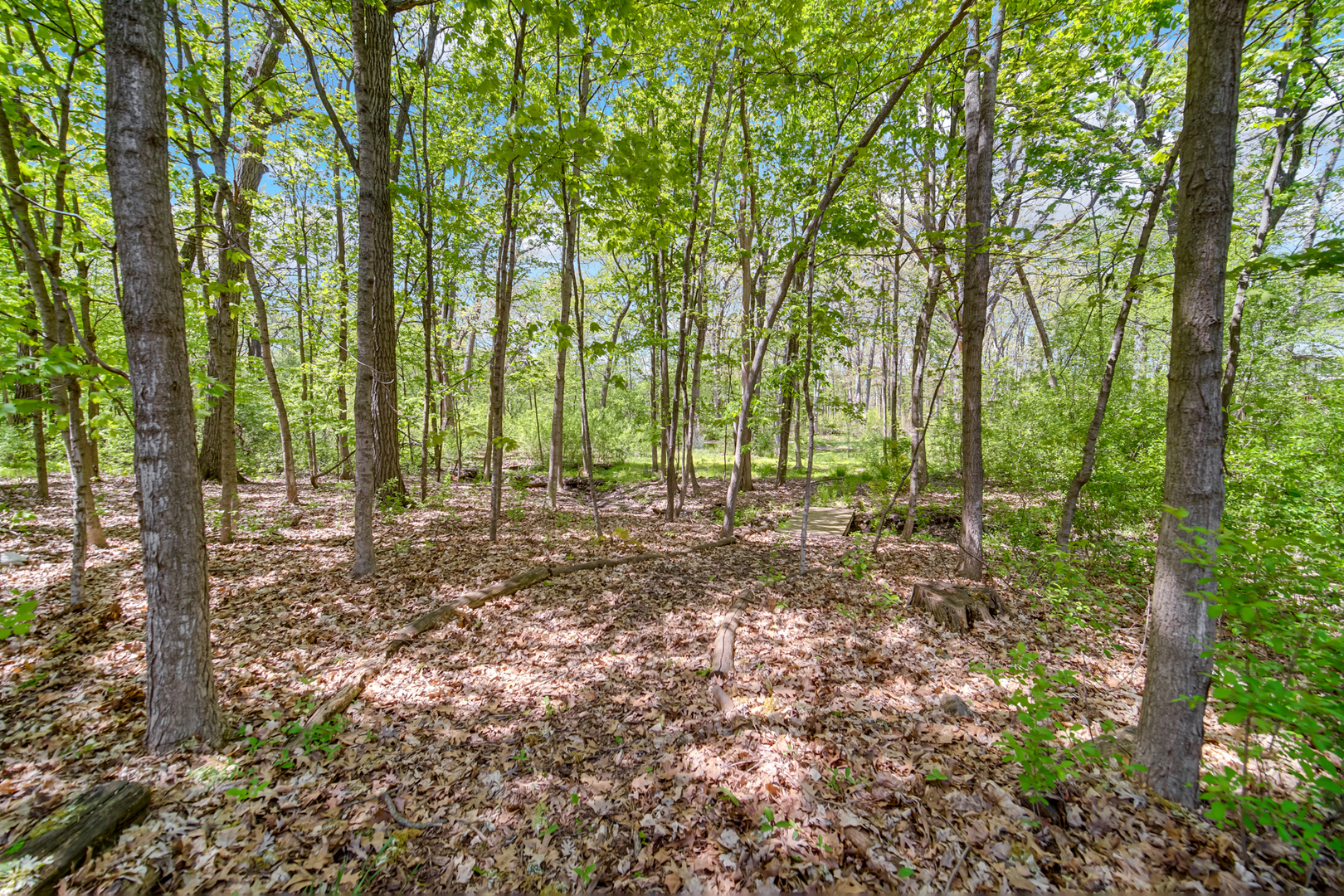 27250 N Meadowoods Lane, Mettawa, IL 60048
