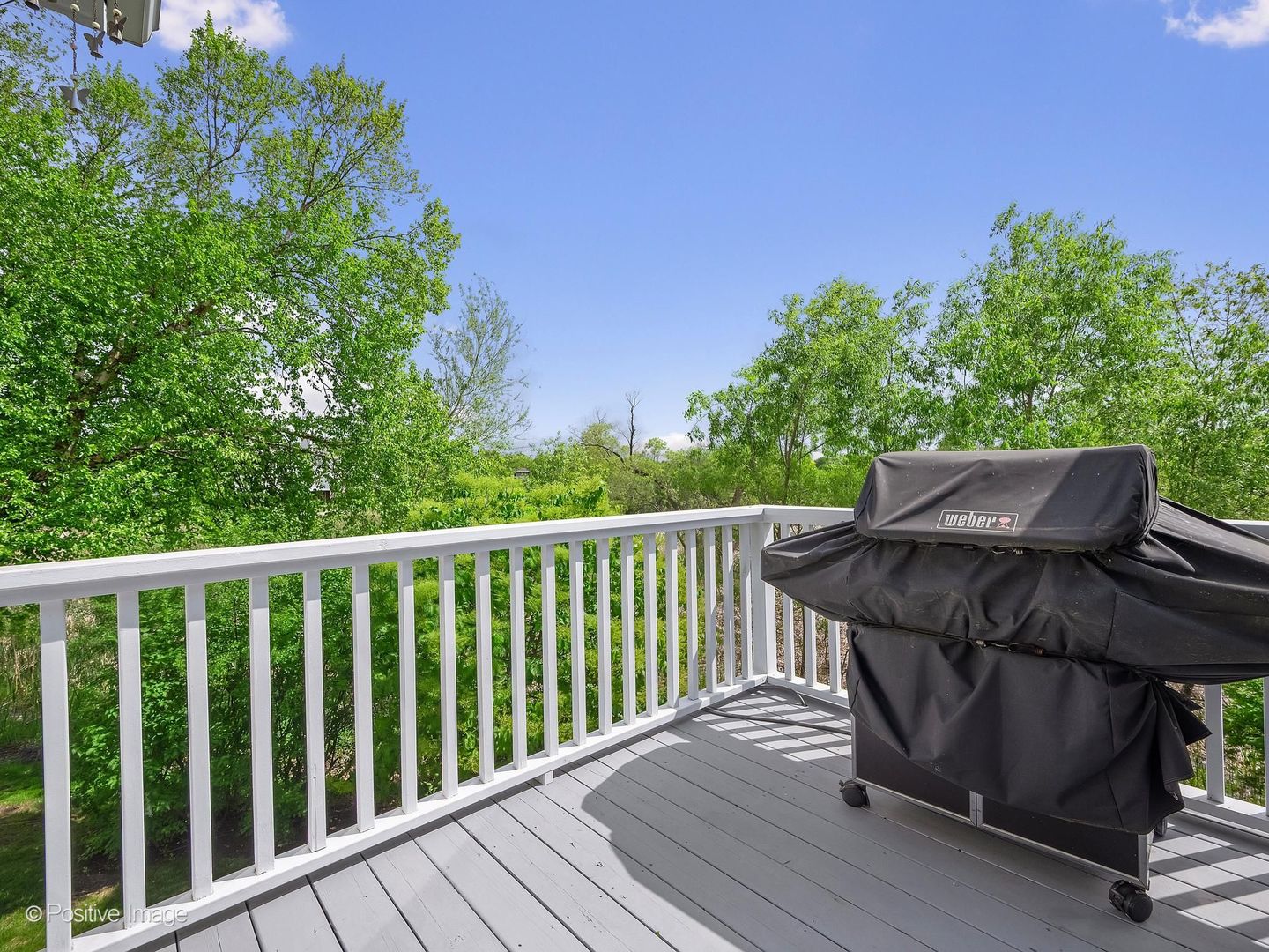 17534 W Windhaven Court, Grayslake, IL 60030