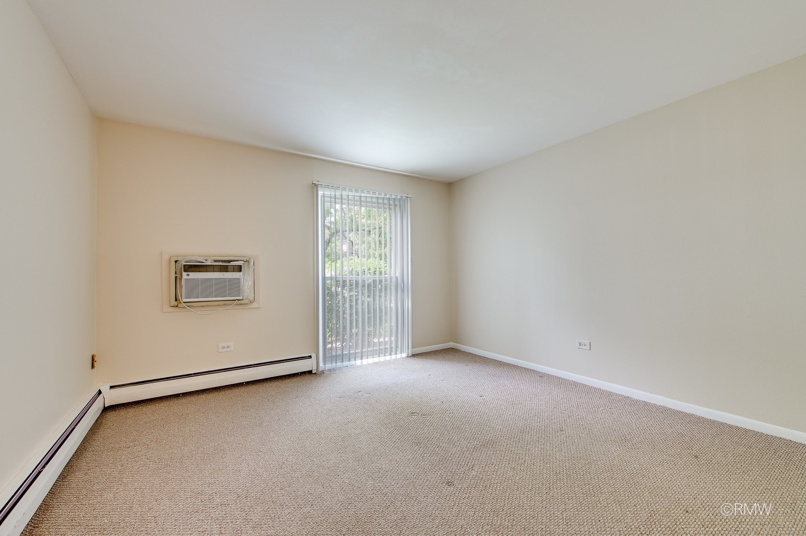 337 N Carter Street #101, Palatine, IL 60067