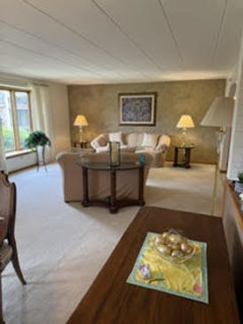 9168 DEL PRADO Drive #1N, Palos Hills, IL 60465