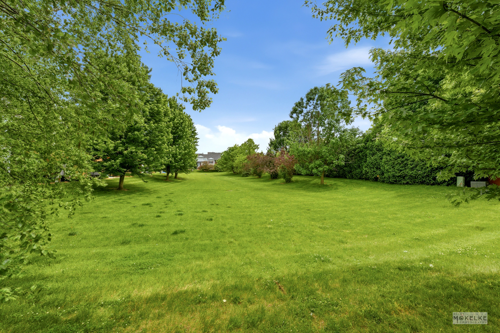 16747 Winding Creek Road, Plainfield, IL 60586