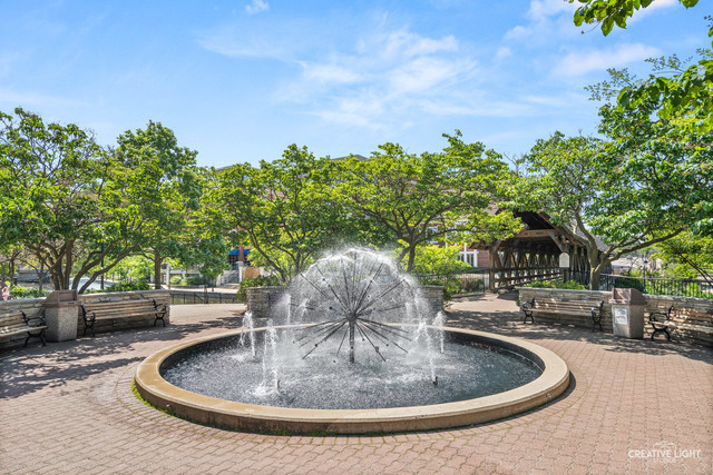 2124 University Drive, Naperville, IL 60565