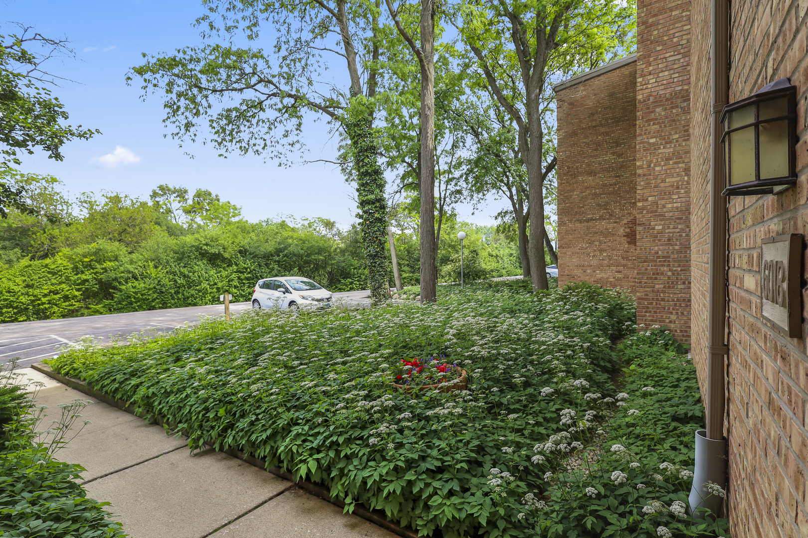 6018 E Lake Drive #1C, Lisle, IL 60532