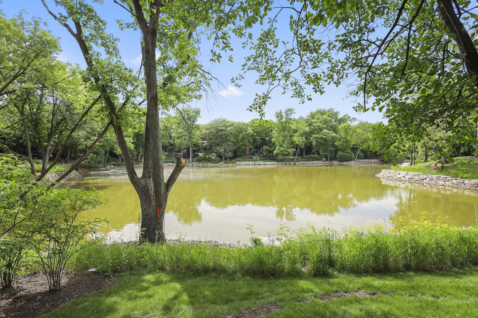 6018 E Lake Drive #1C, Lisle, IL 60532