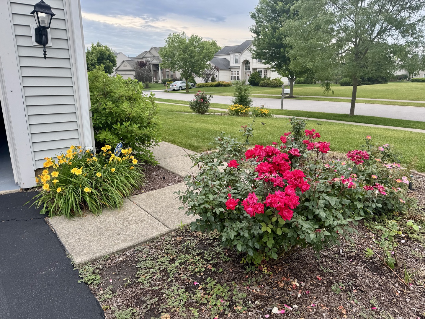 12901 Norwich Street, Plainfield, IL 60585