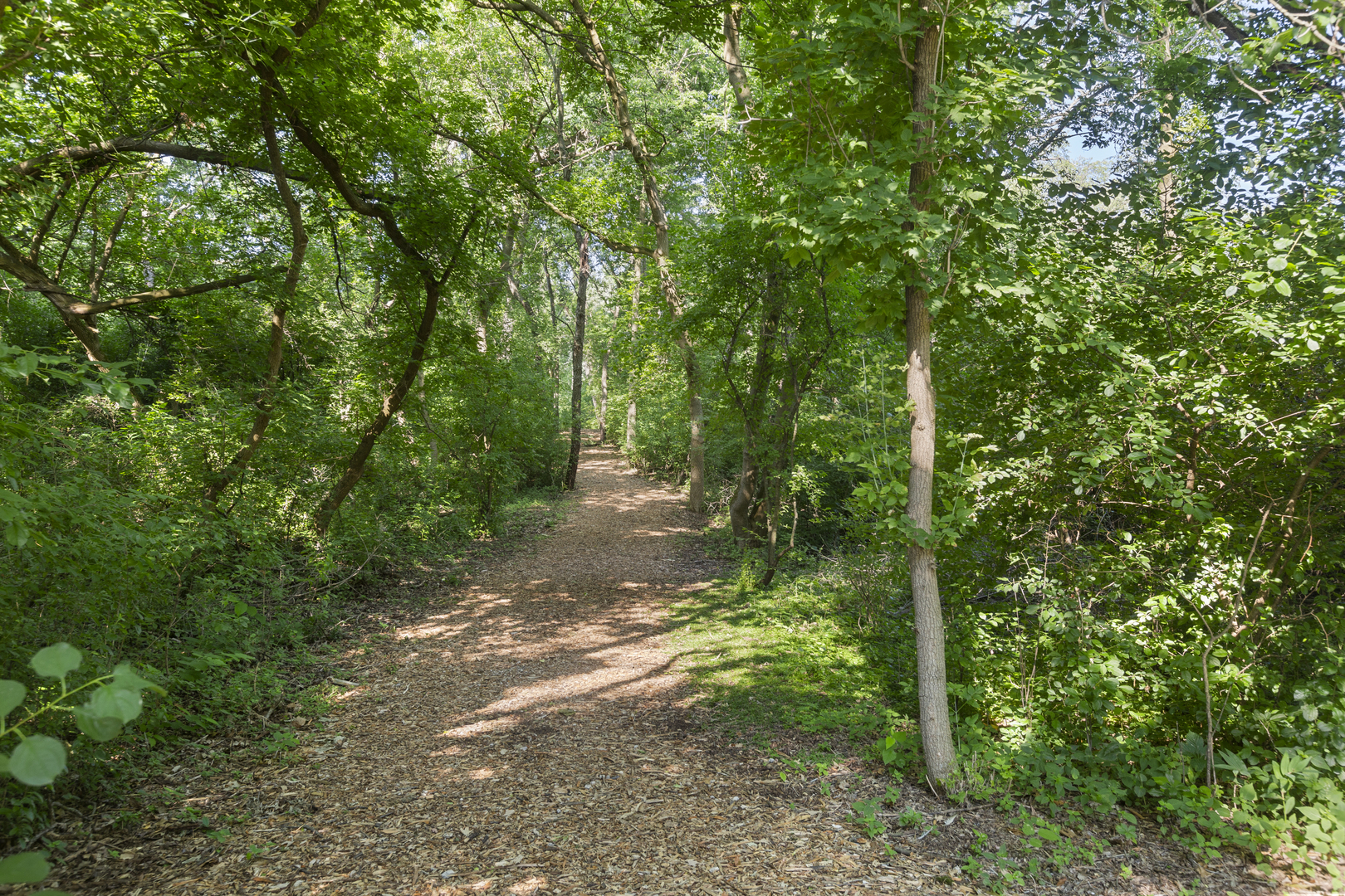 49 Oak Hill Colony #12, Fox Lake, IL 60020