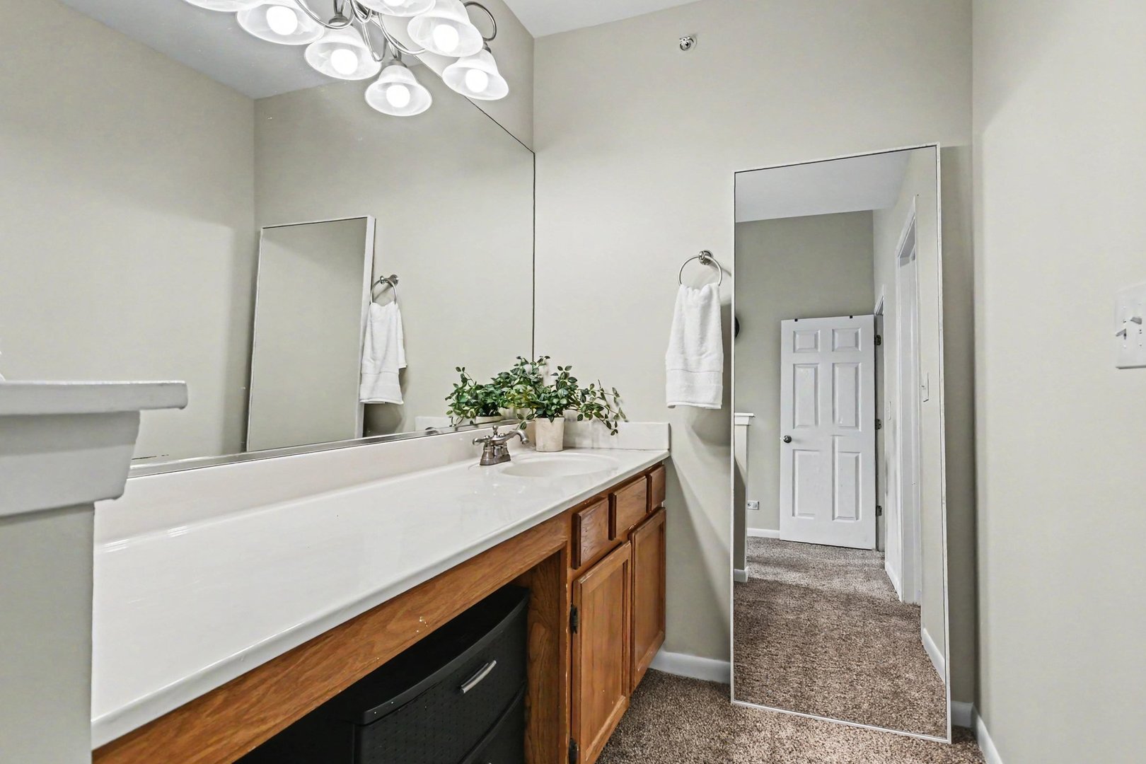 1149 E Cambria Lane #S, Lombard, IL 60148