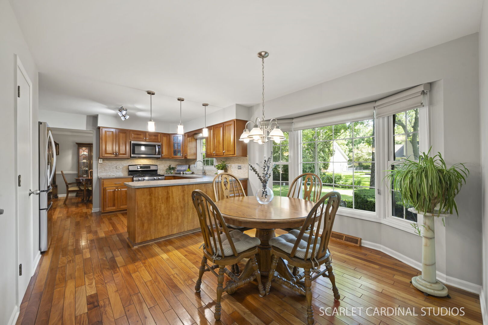 1006 Whirlaway Avenue, Naperville, IL 60540
