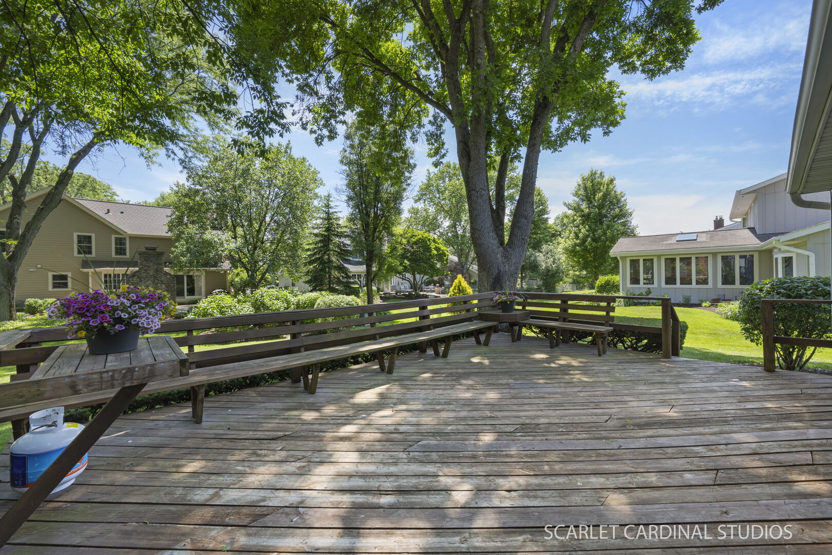 1006 Whirlaway Avenue, Naperville, IL 60540