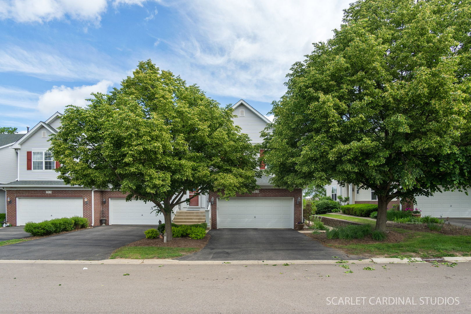 217 Ridge Road, North Aurora, IL 60542